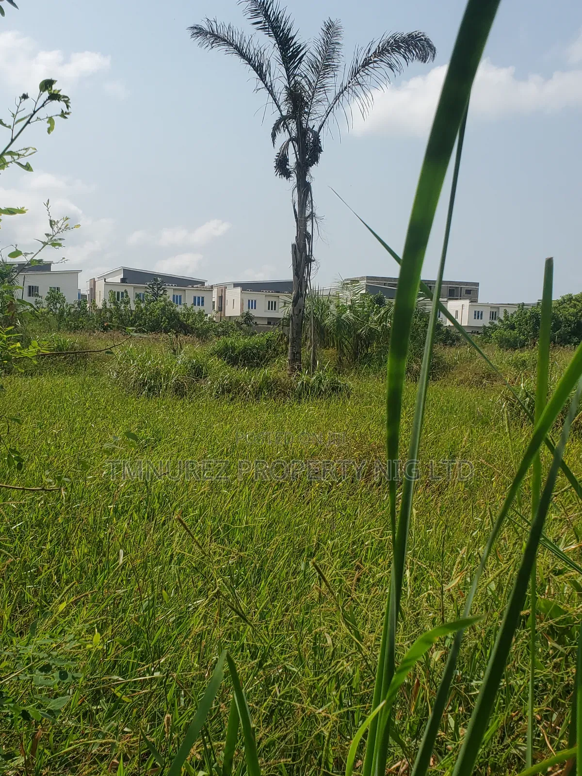 Land for Sale in a Very Good Place at Ilaje Orchid Ajah
