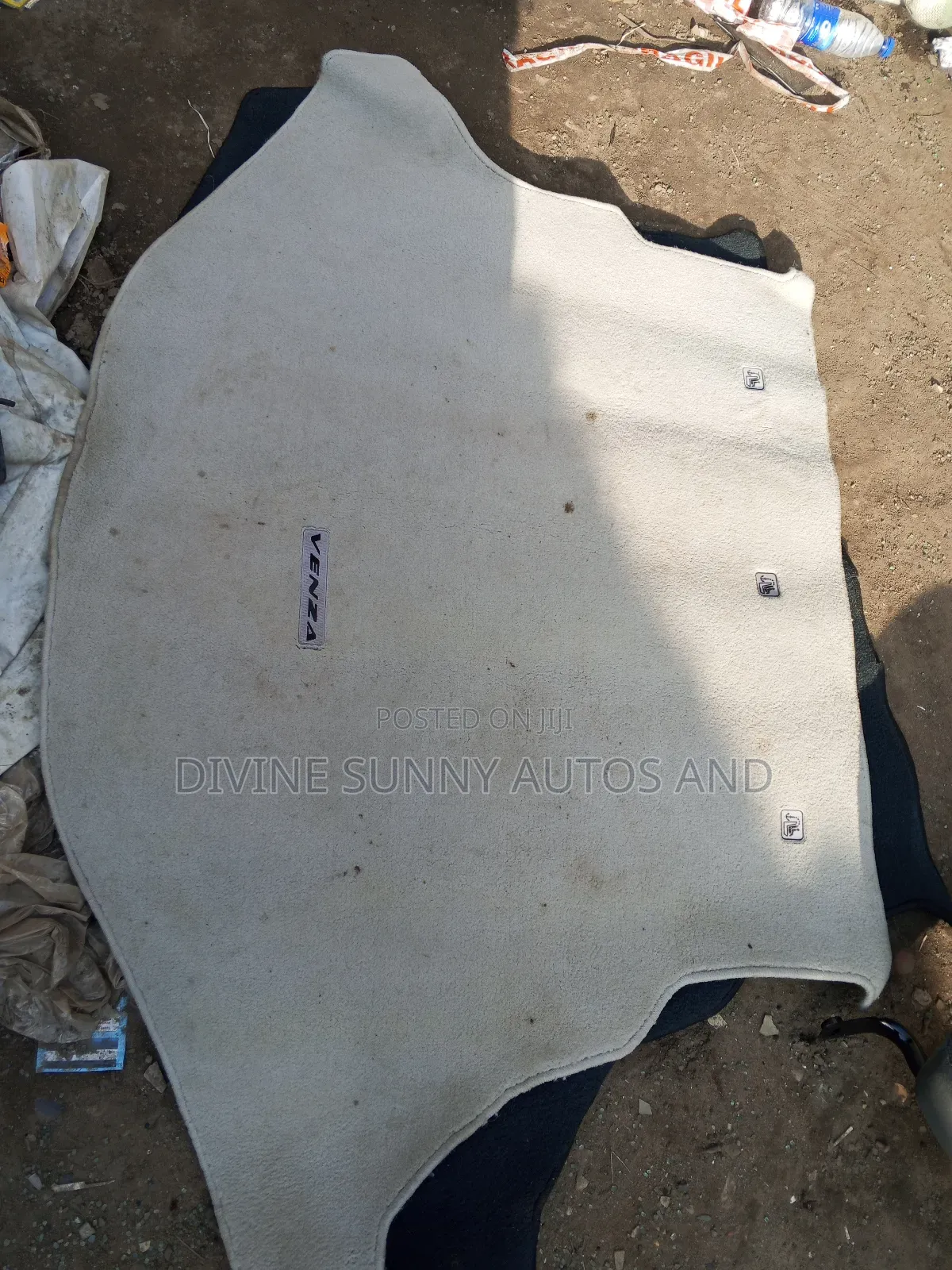 Venza 2010 Boot Mat