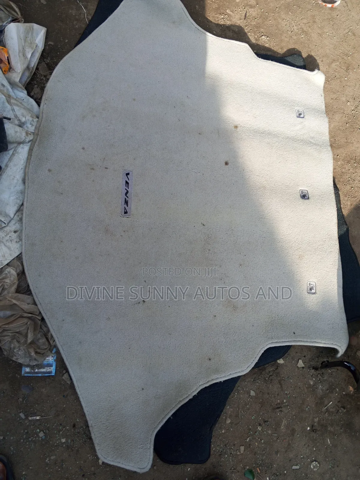 Venza 2010 Boot Mat