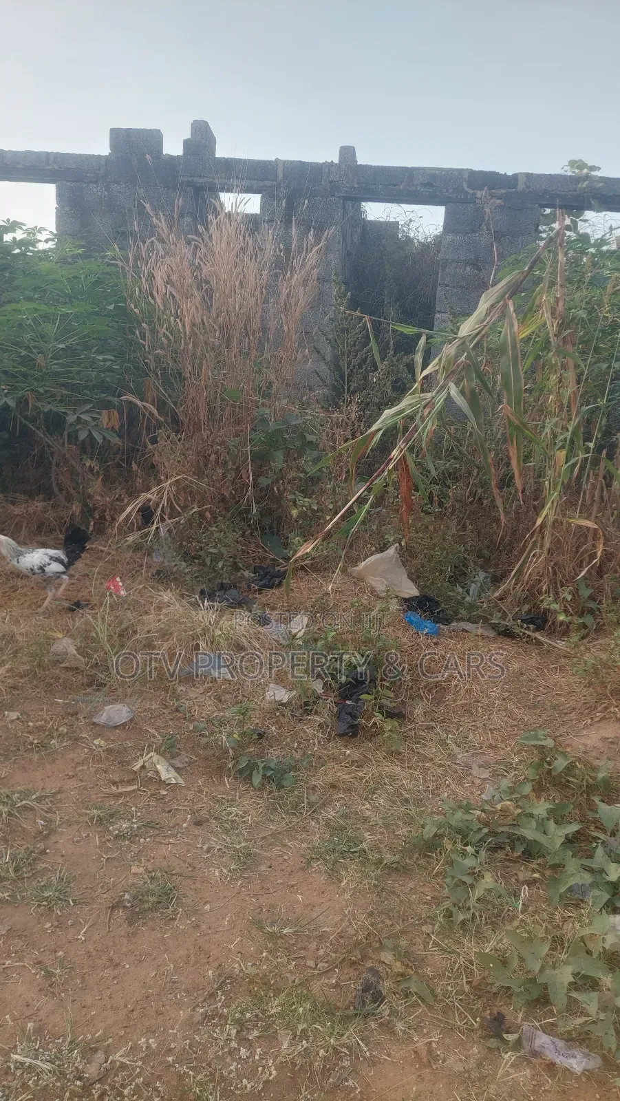 11 Hectares of Land for Sale at Guzape Ii