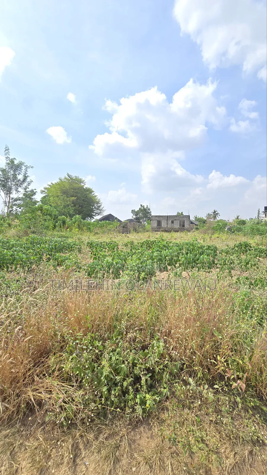 A Plot of Land at Johnson Awe Oluyole Ibadan