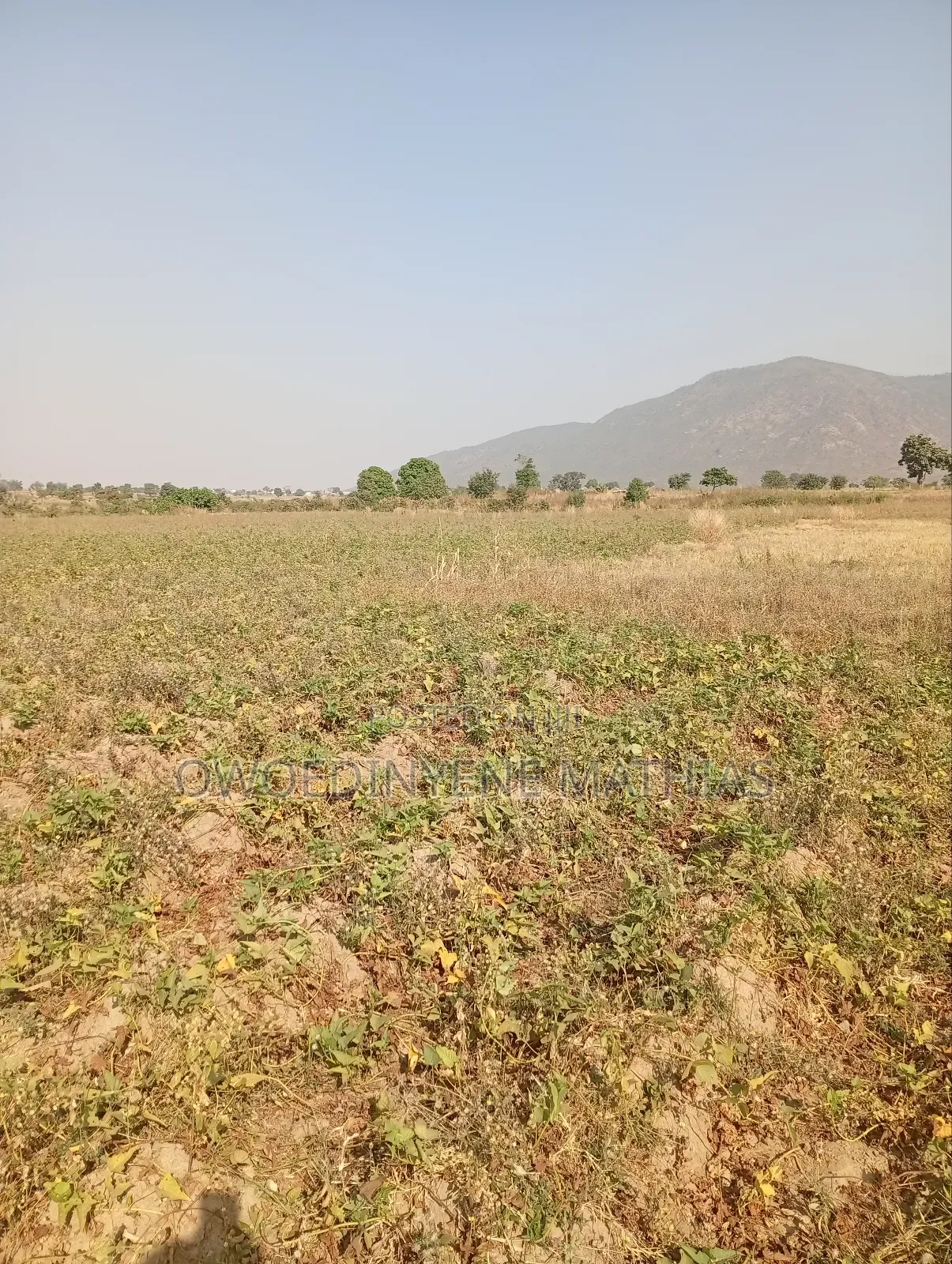 Bungalow Estate Plot at Karshi Presale