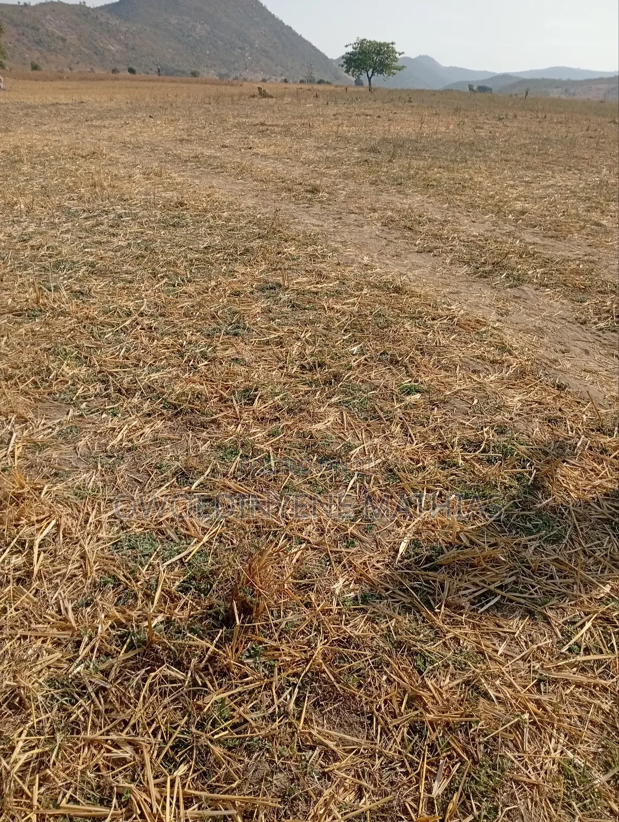 Bungalow Estate Plot at Karshi Presale
