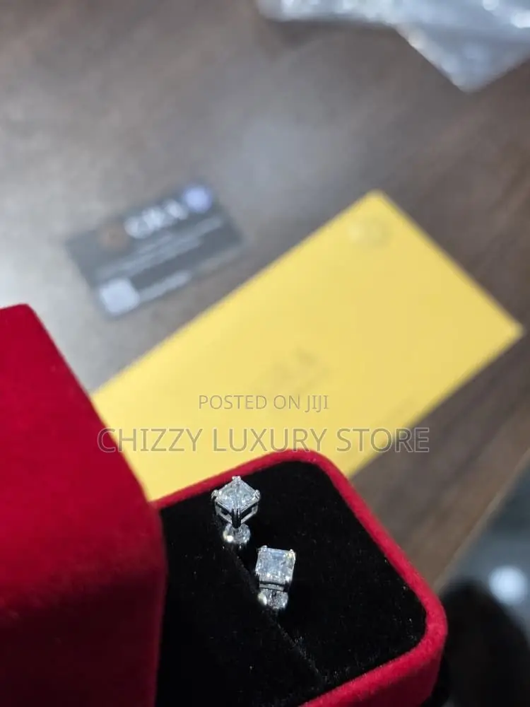 925 Quality Luxury Earrings Passes the Diamond Test