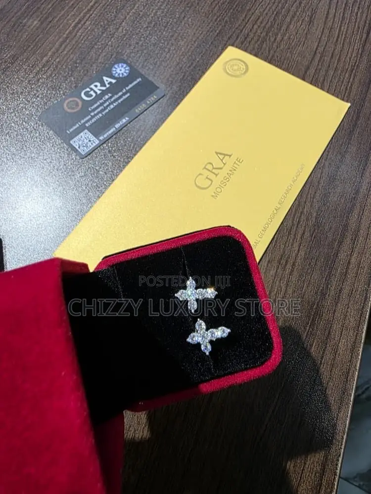 925 Quality Luxury Earrings Passes the Diamond Test