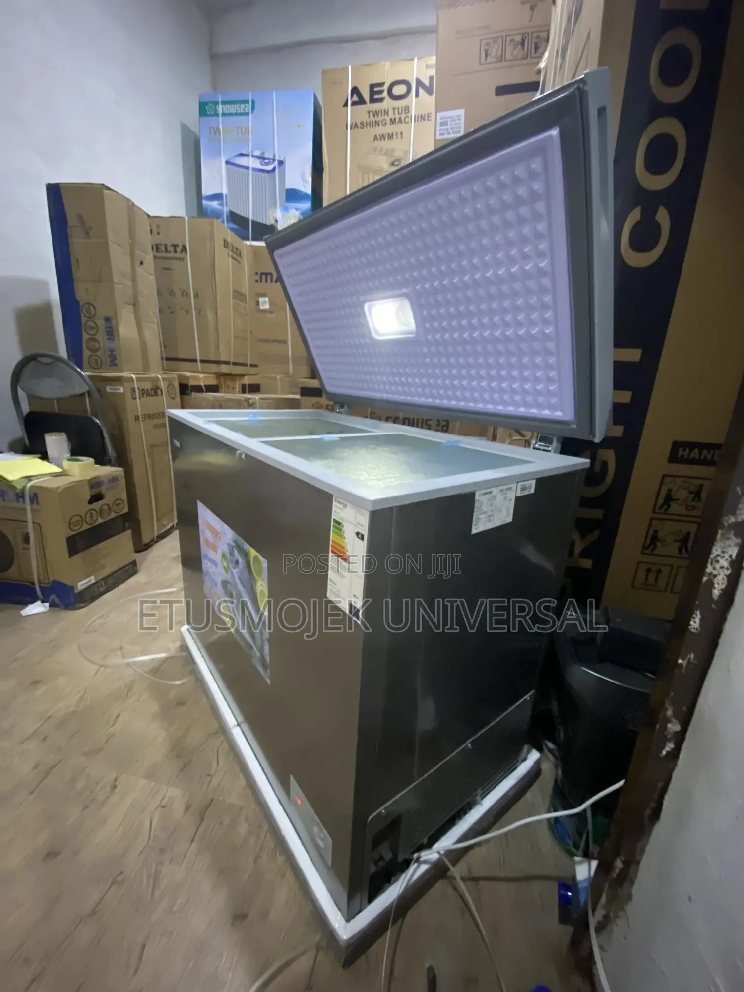 220litres High Quality Snowsea Freezer Bd-308