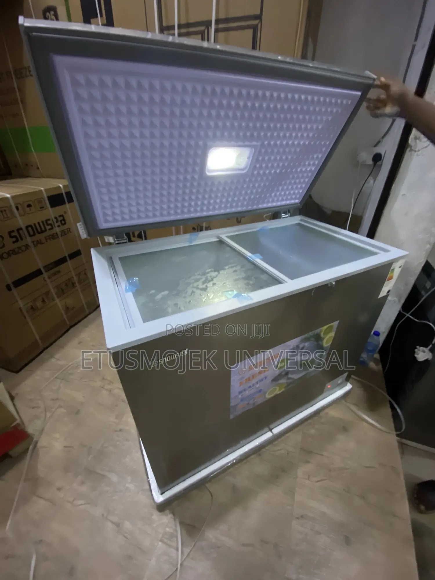 220litres High Quality Snowsea Freezer Bd-308