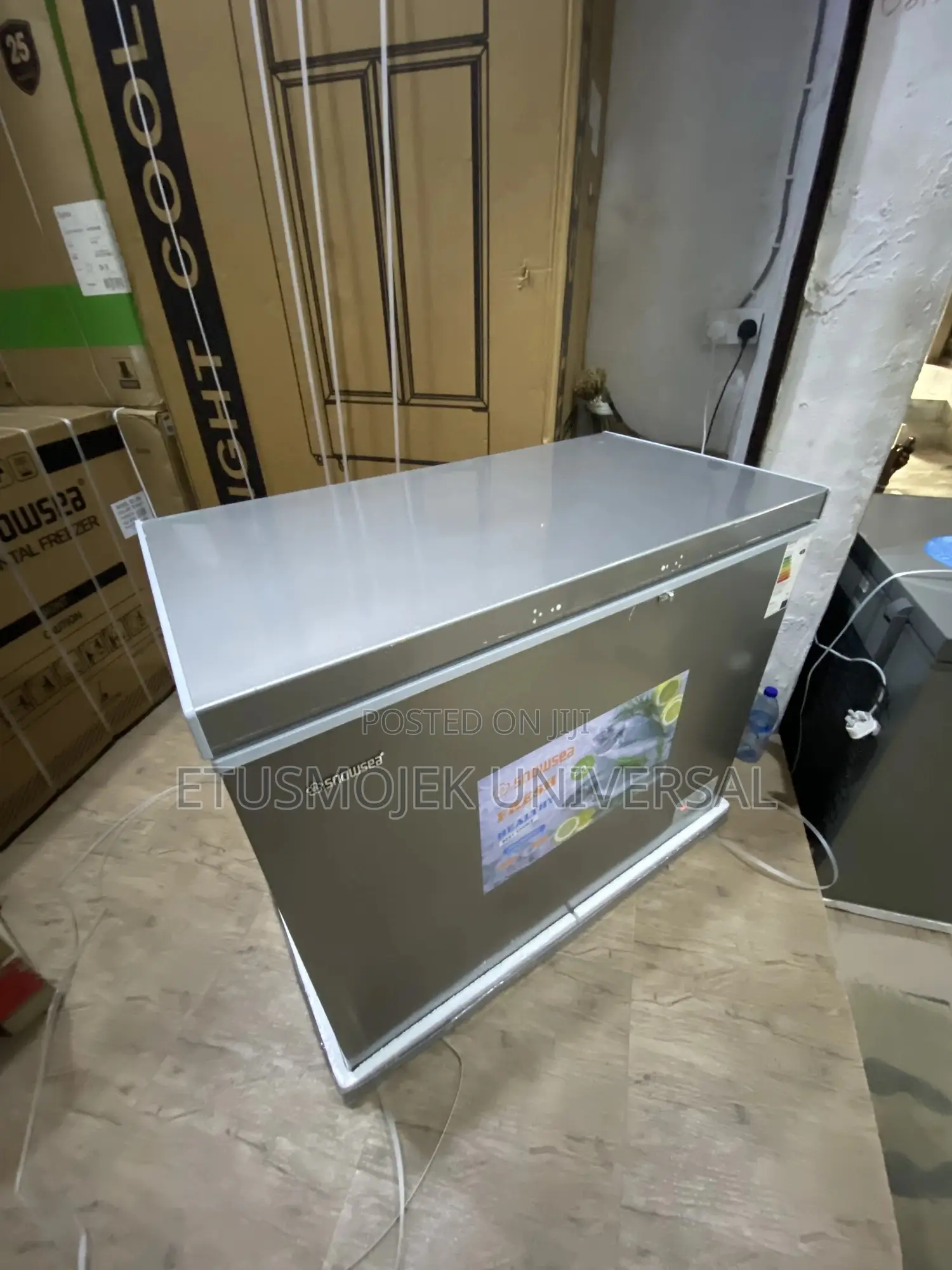 220litres High Quality Snowsea Freezer Bd-308