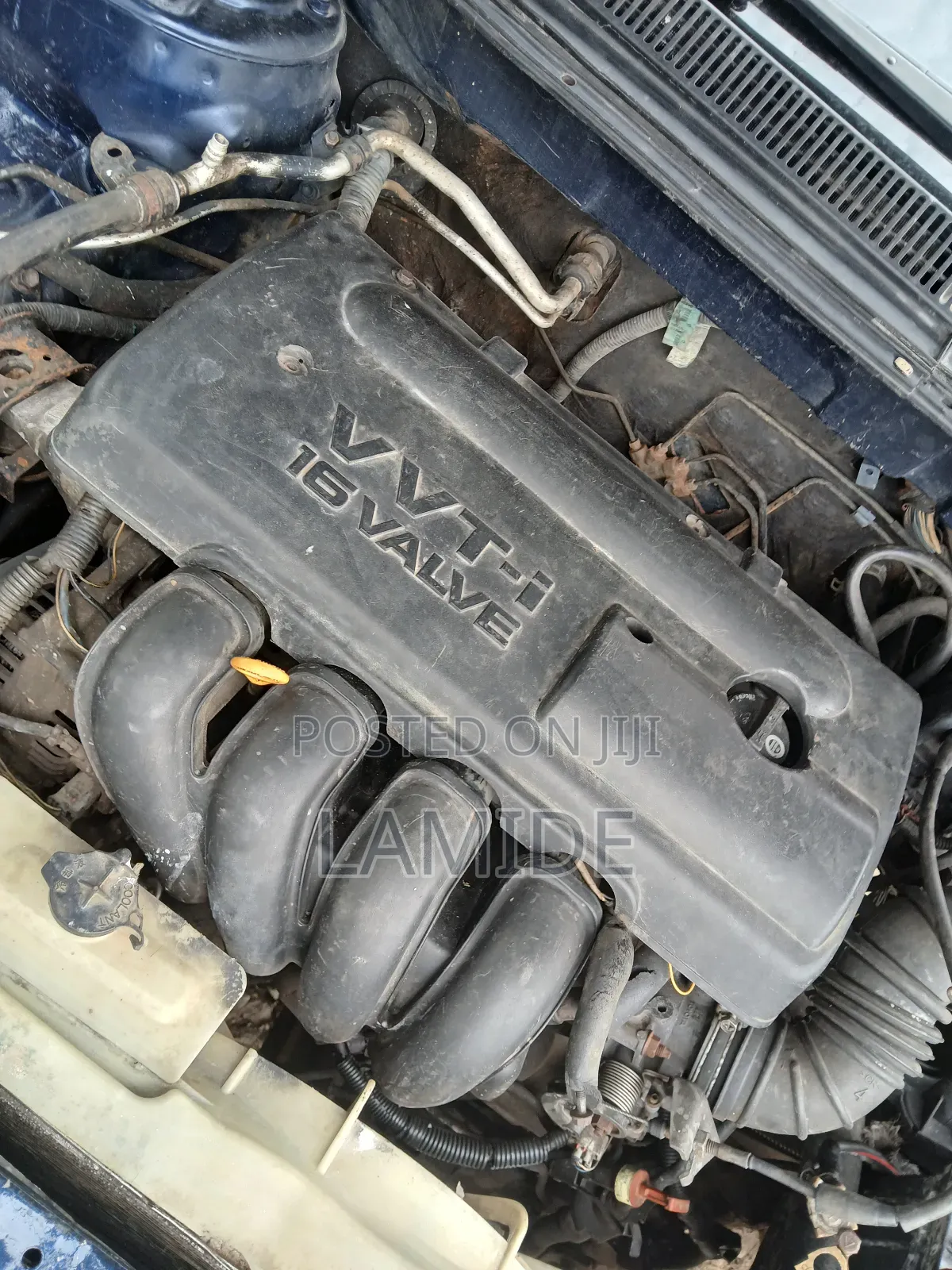Toyota Matrix Standard AWD (1.8L 4cyl 4A) 2003 Blue