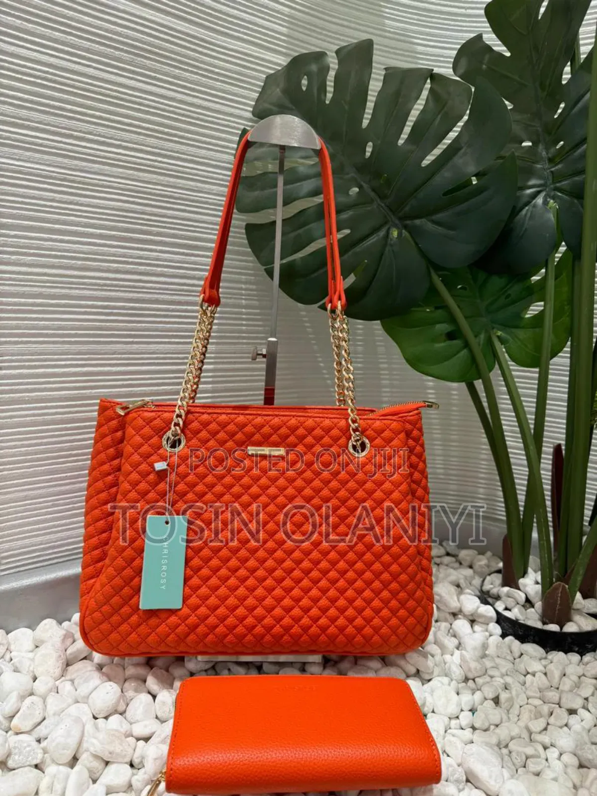 Fashion Chain Hand Bag and Purse