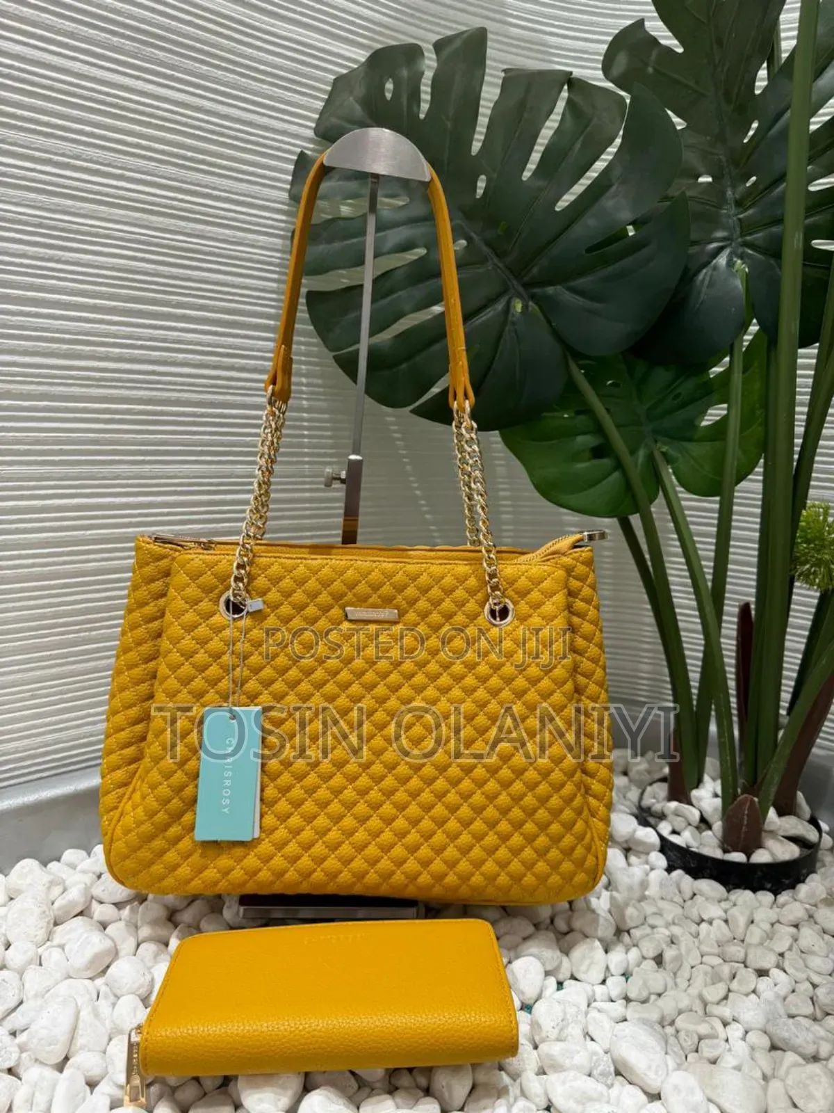 Fashion Chain Hand Bag and Purse
