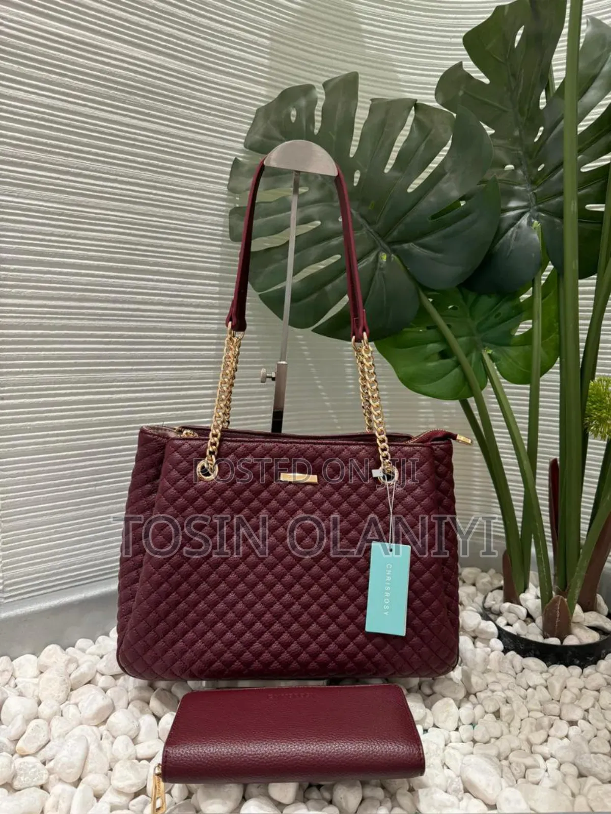 Fashion Chain Hand Bag and Purse