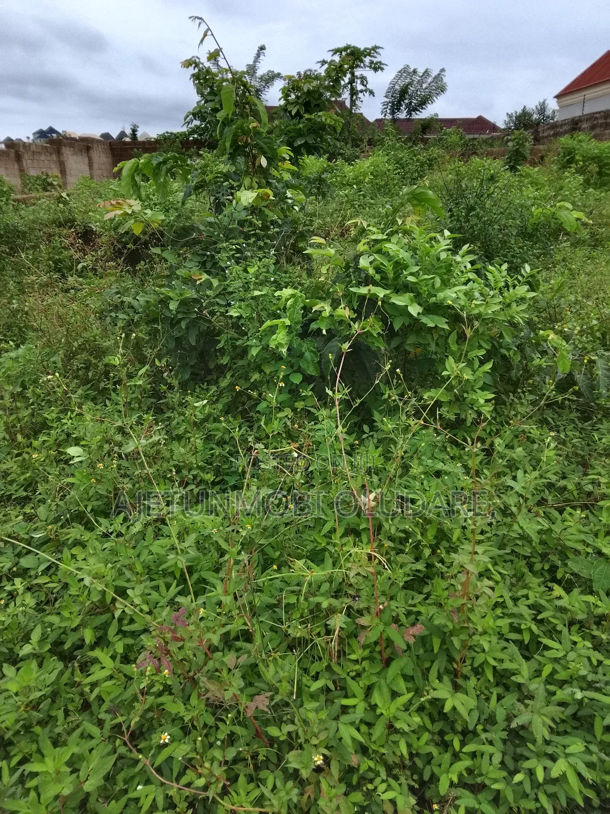 Plots 2 Complete for Sale at Olujoda Ado Ekiti