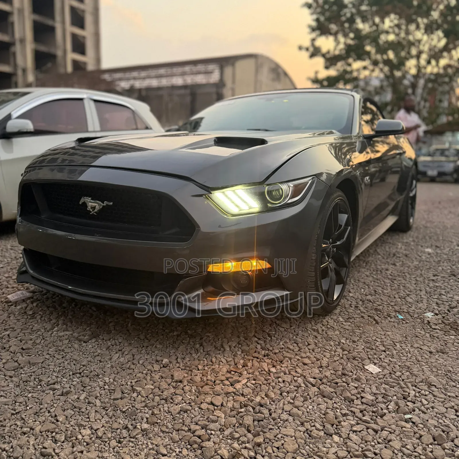 Ford Mustang GT Premium 2dr Convertible (5.0L 8cyl 6M) 2015 Gray