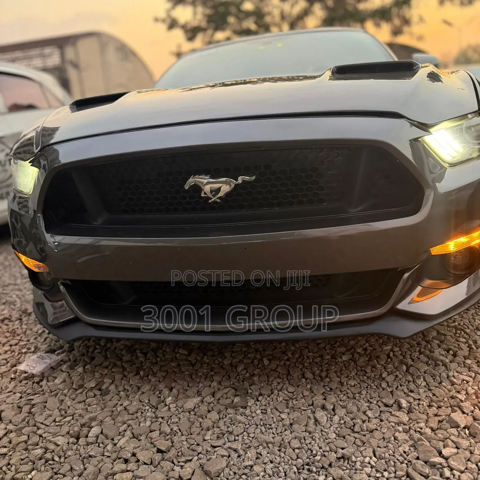 Ford Mustang GT Premium 2dr Convertible (5.0L 8cyl 6M) 2015 Gray