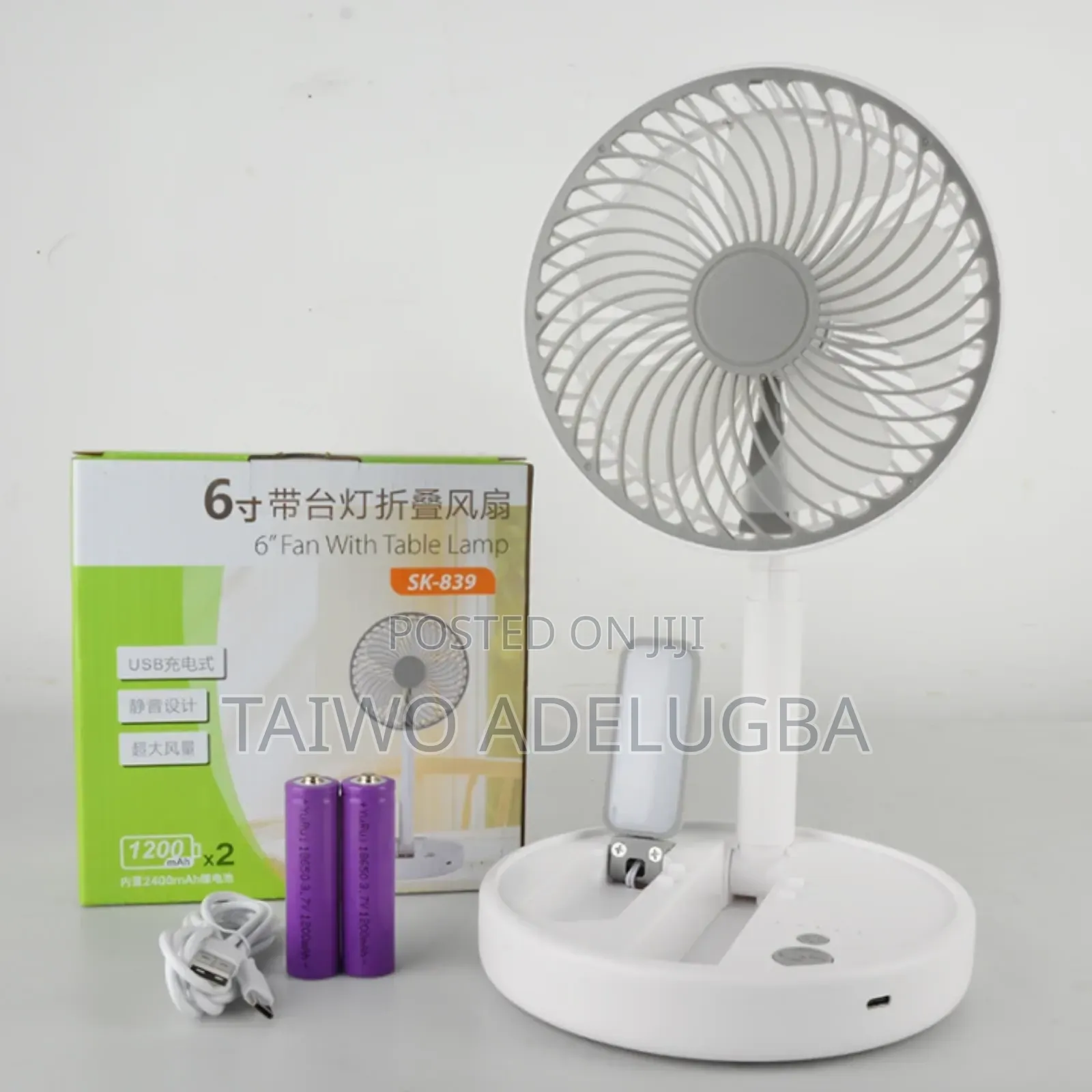 Beautiful Foldable Fan