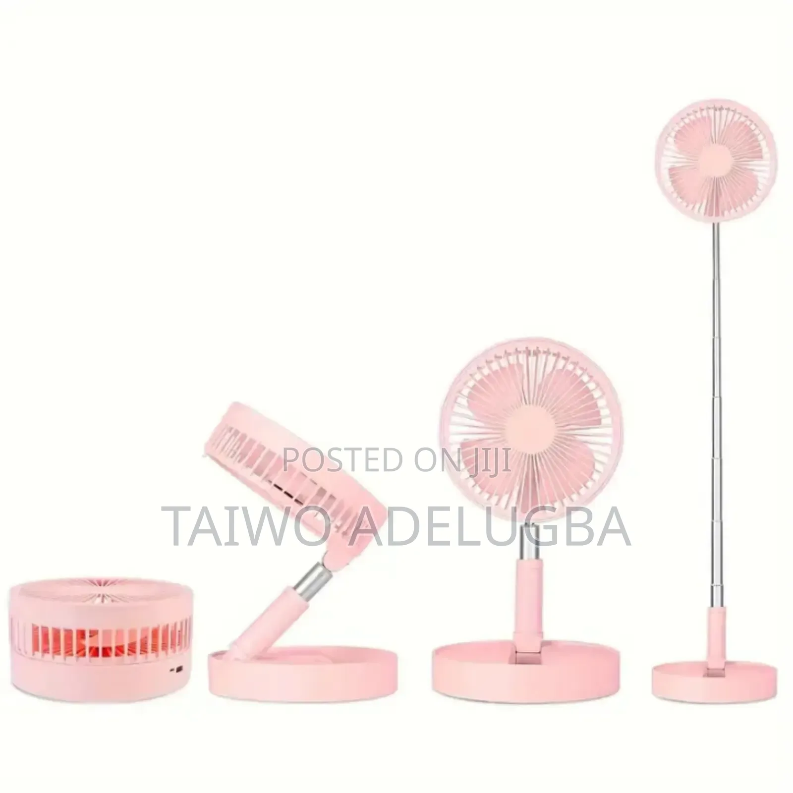 Beautiful Foldable Fan