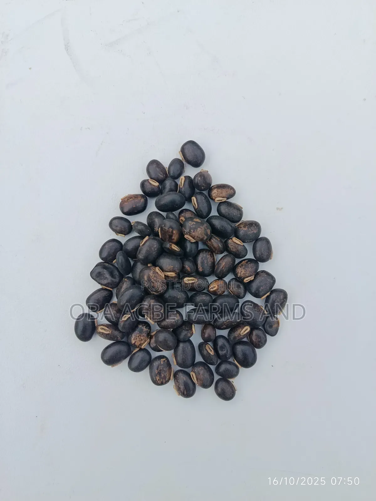 Mucuna Purines Powder Aka Velvet Beans 1kg