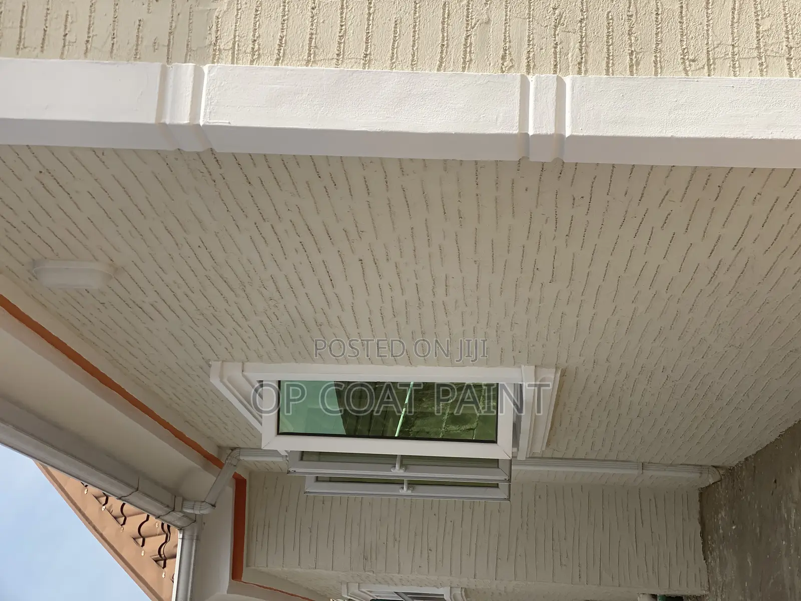 Opcoat Gravitex Paint