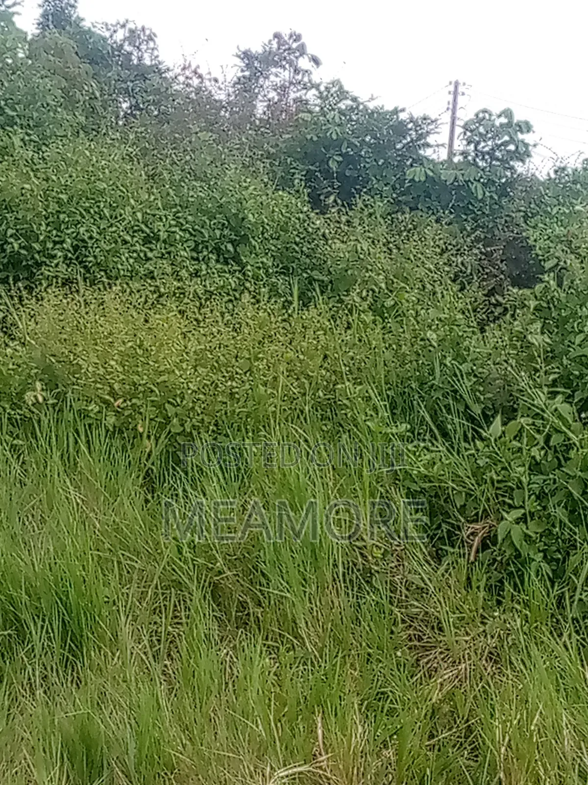 Land for Sale at Epe Lagos State