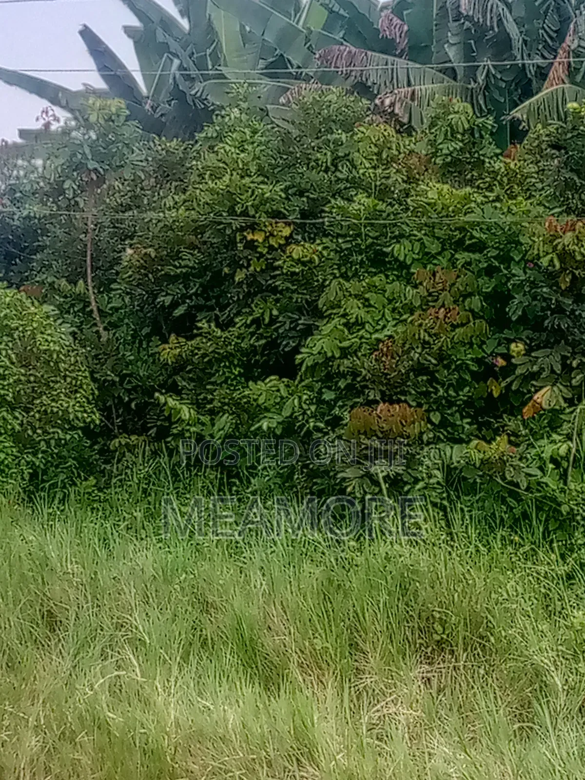Land for Sale at Epe Lagos State