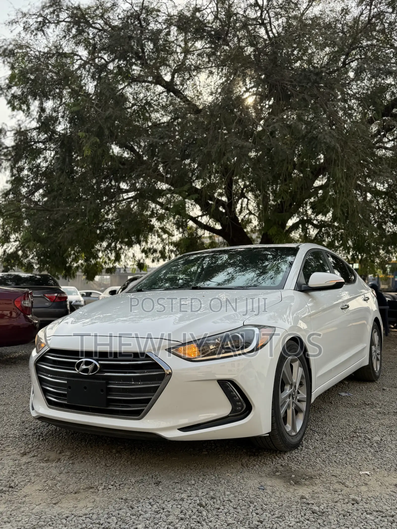 Hyundai Elantra Limited Sedan FWD (1.8L 4cyl 6A) 2016 White