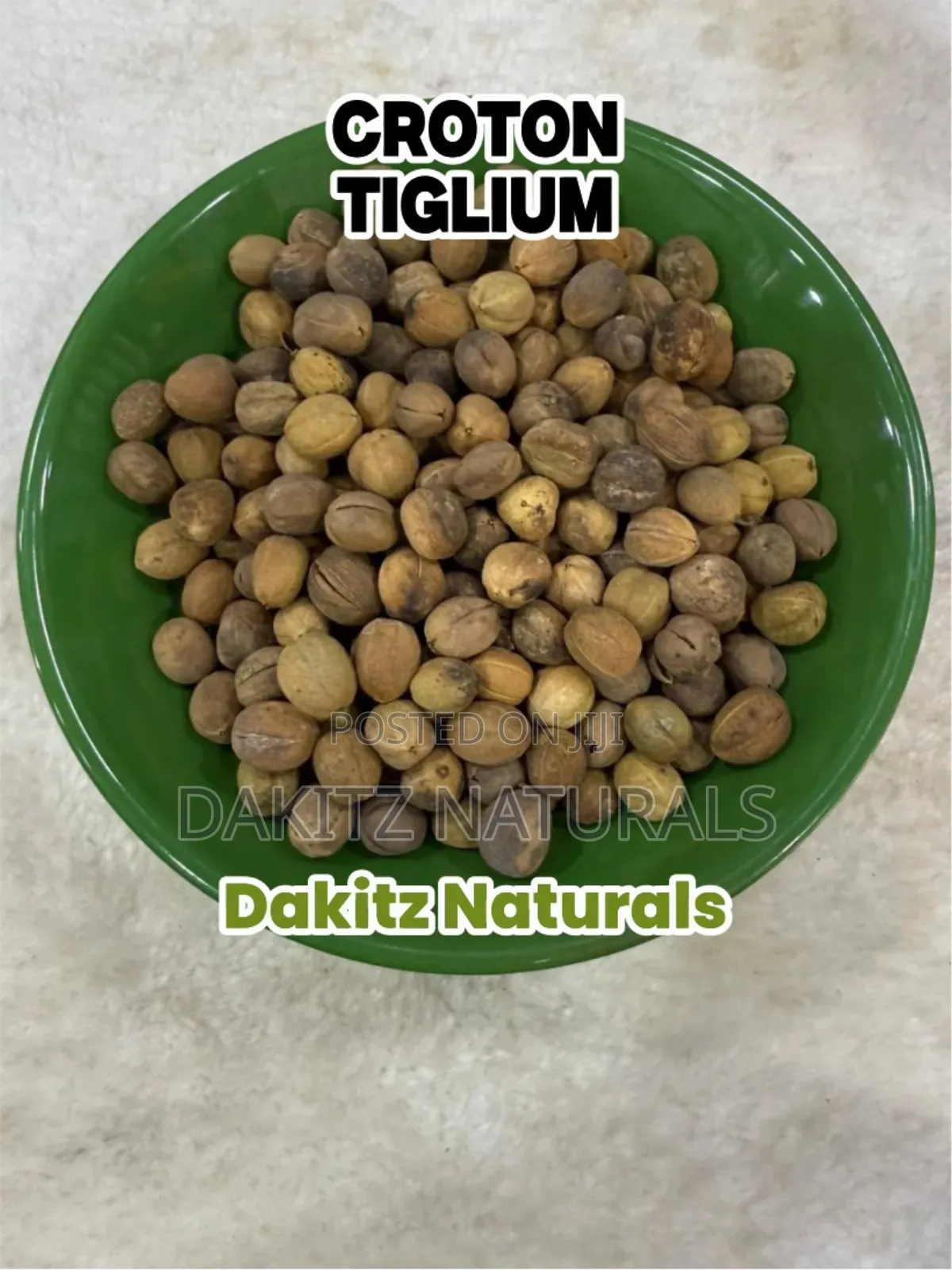 Croton Tiglium 100g