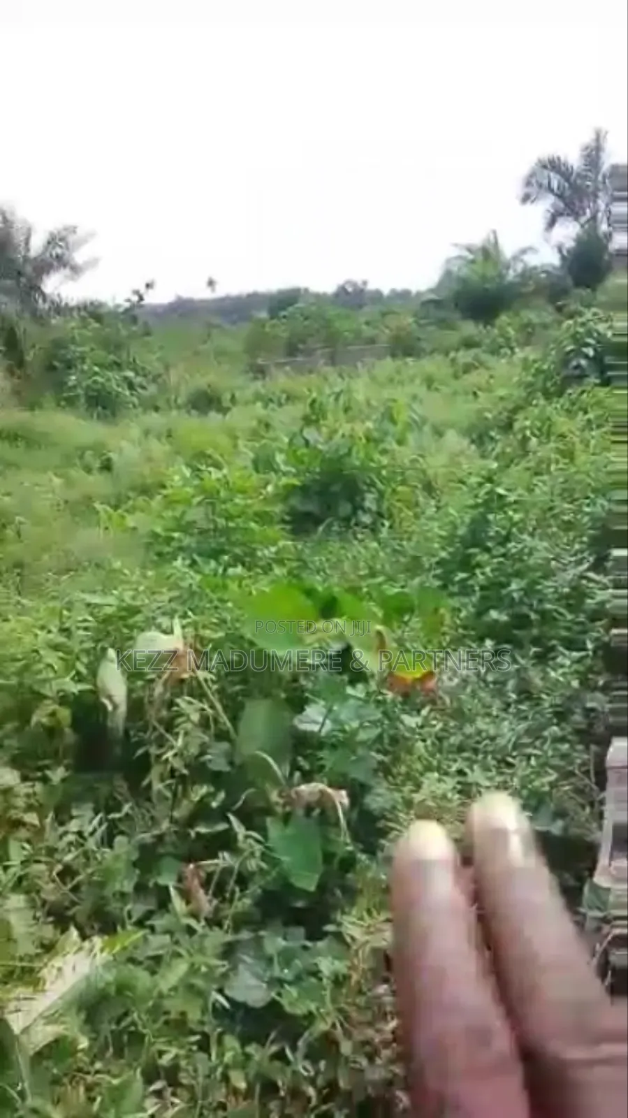For Sale : 2 Plots at Radio Estate , Nta Road , Ph