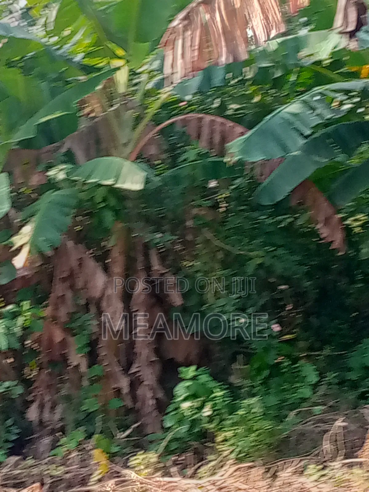 Land for Sale at Kila Stre, Epe