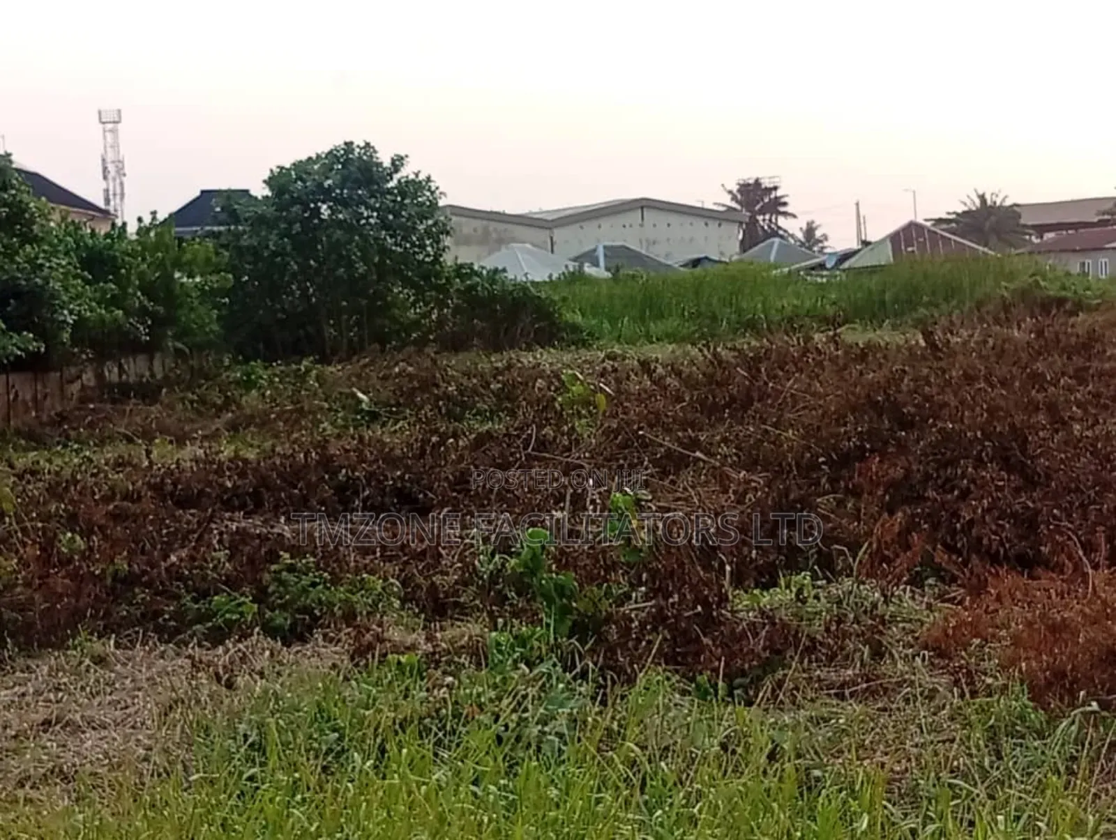 More Than Acre of Land