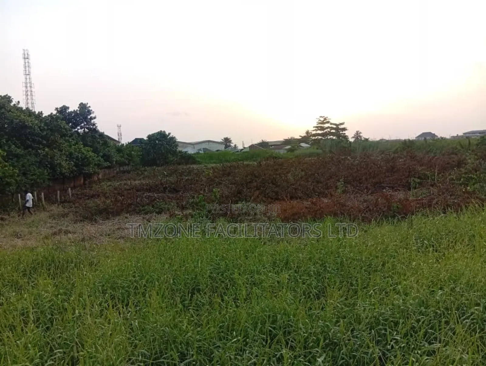 More Than Acre of Land