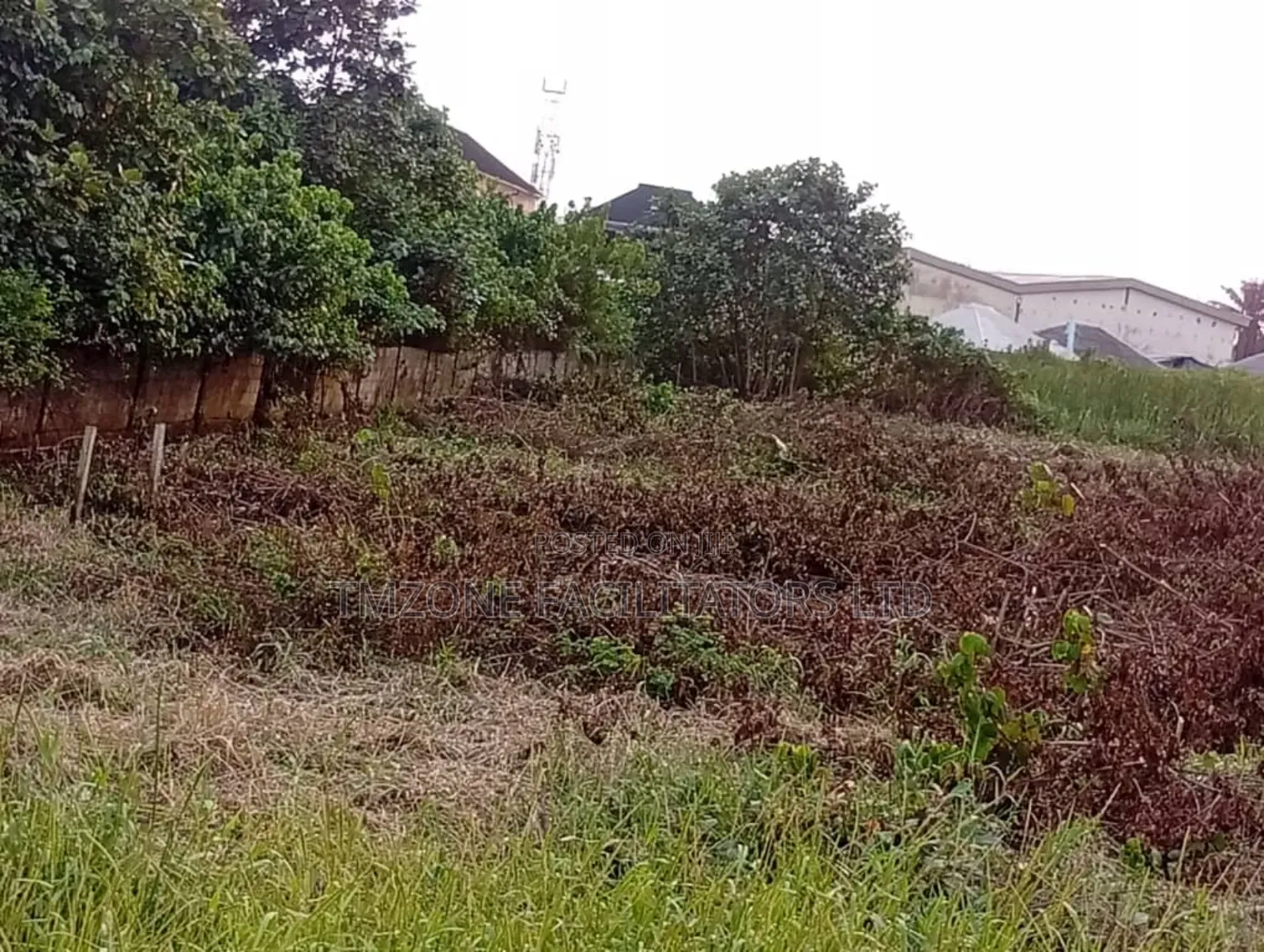 More Than Acre of Land