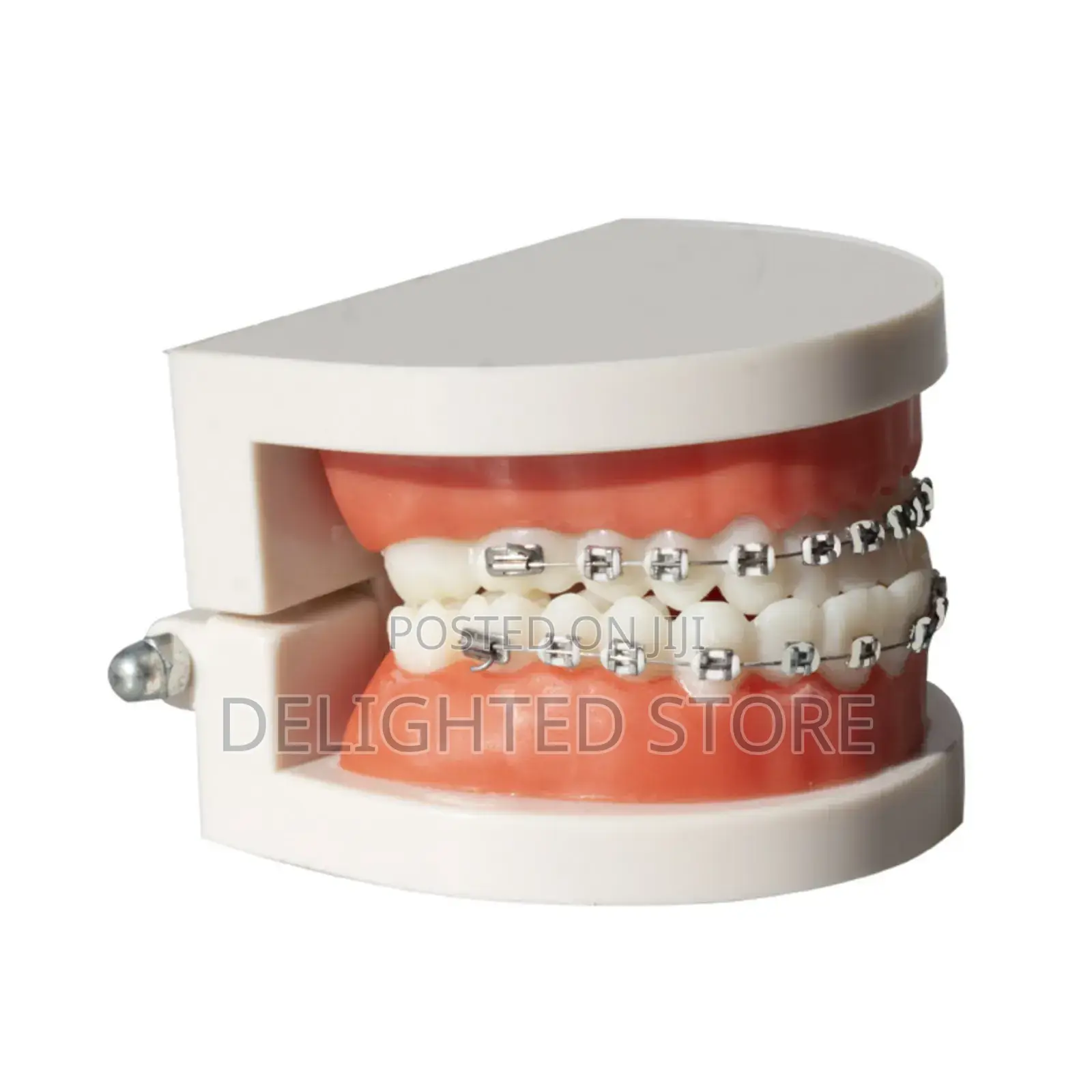 Dental Orthodontic Model Celebrity Decorative Fashion Brace (Silver)
