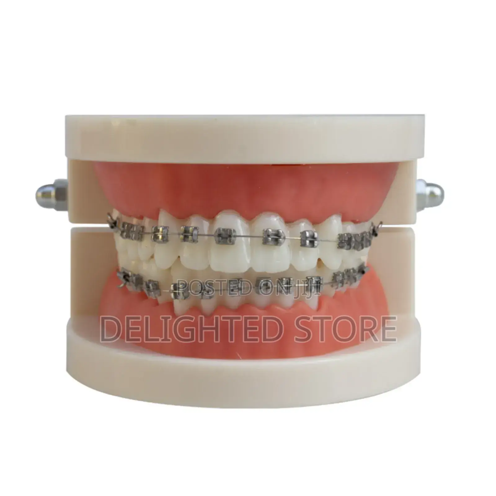 Dental Orthodontic Model Celebrity Decorative Fashion Brace (Silver)