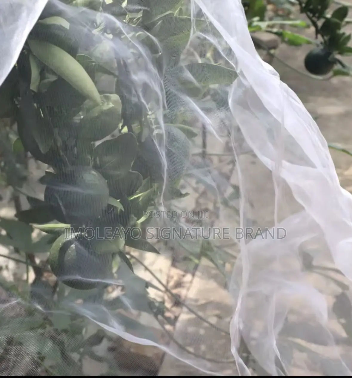 Greenhouse Insect Net 2m * 100m ( 60 Mesh )