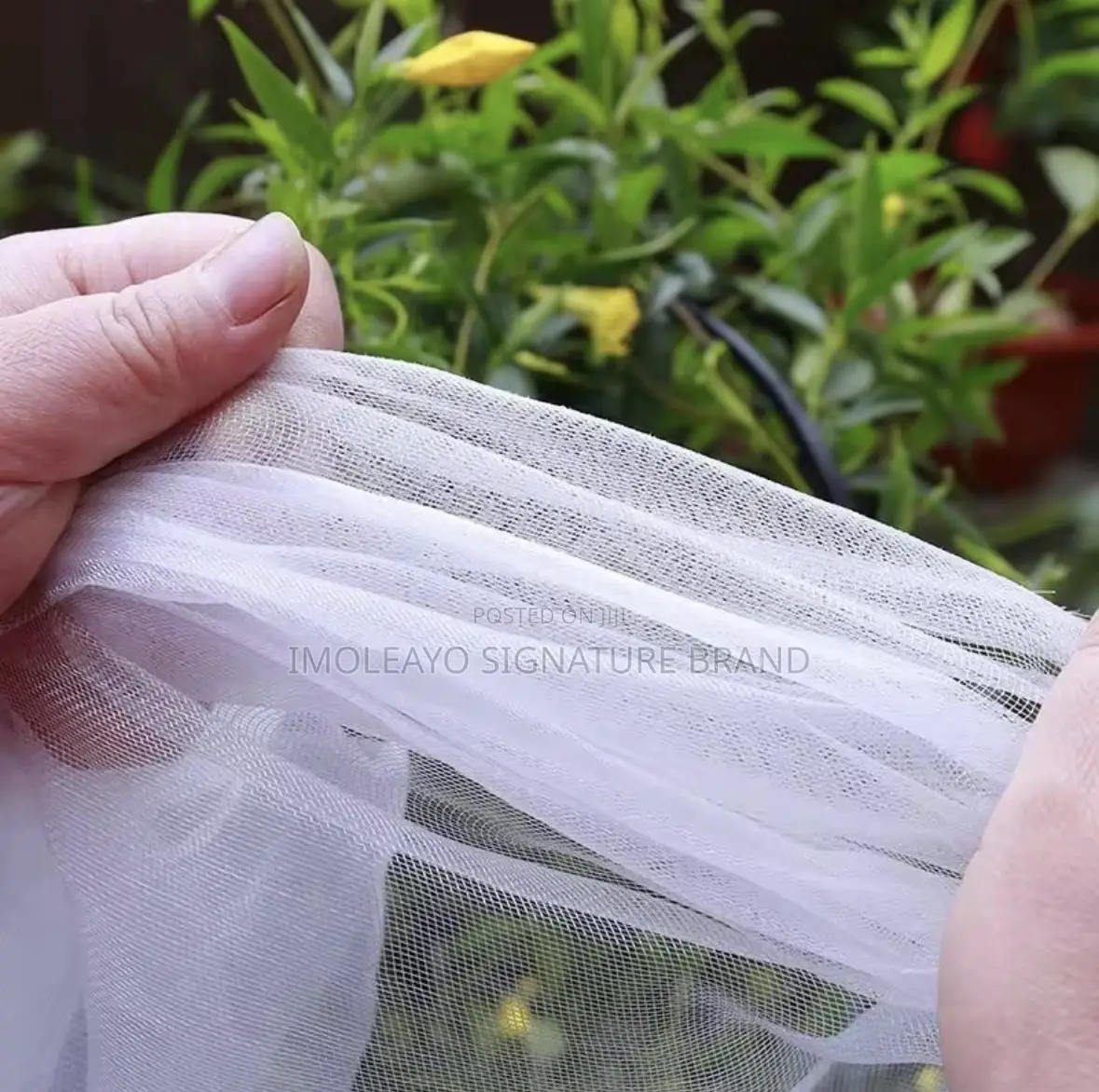 Anti Insect Net 2m * 100m ( 60 Mesh )