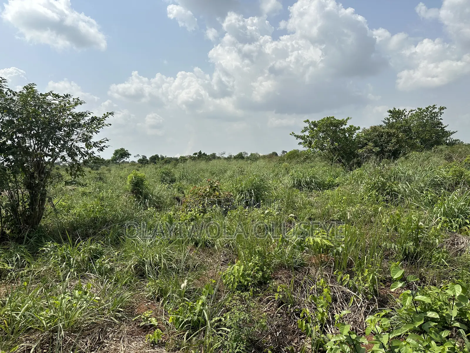 Agric Land Is Available