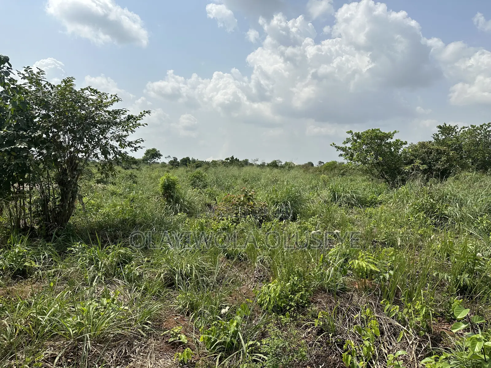 Agric Land Is Available