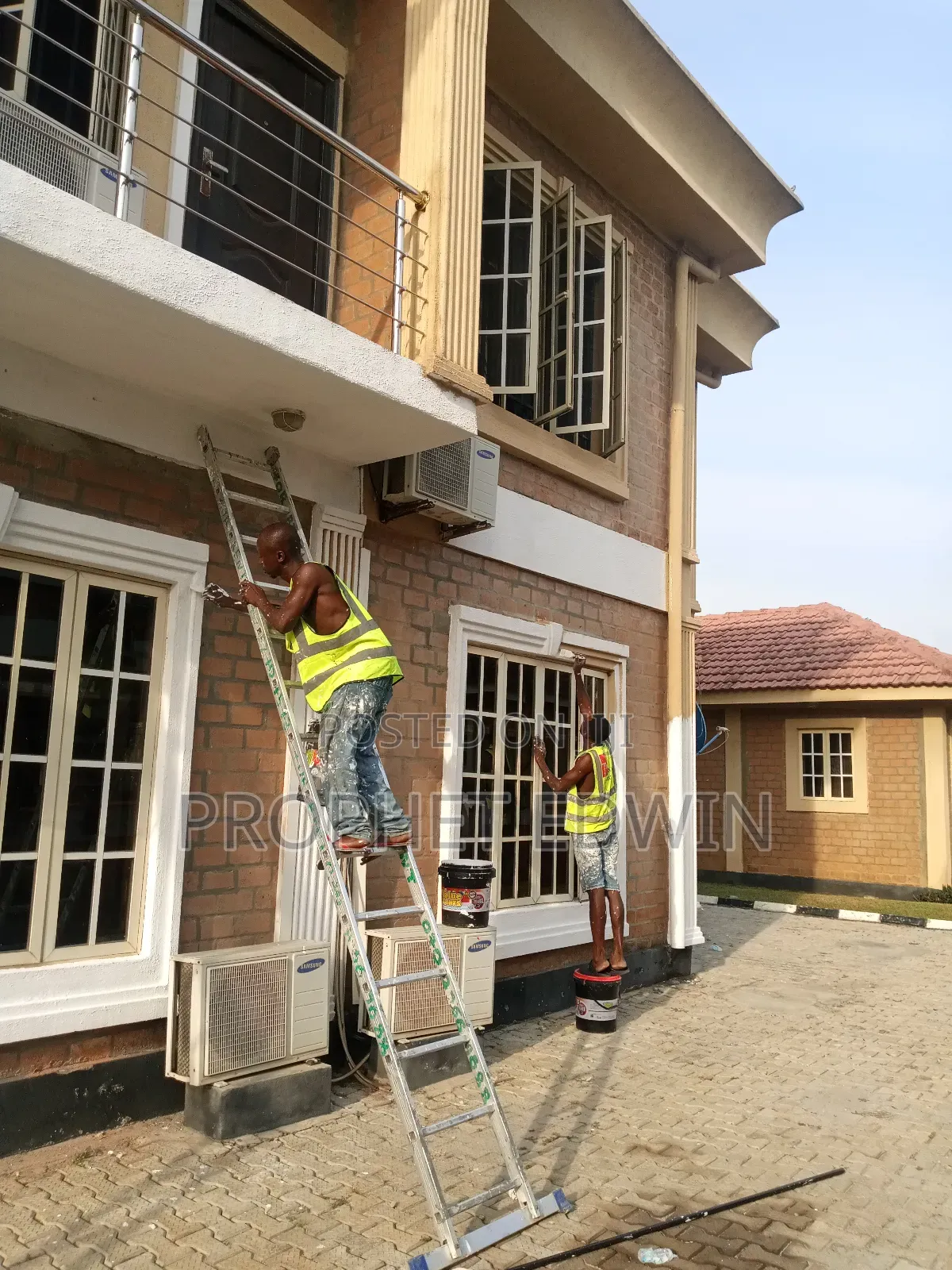 Minino Painting Service