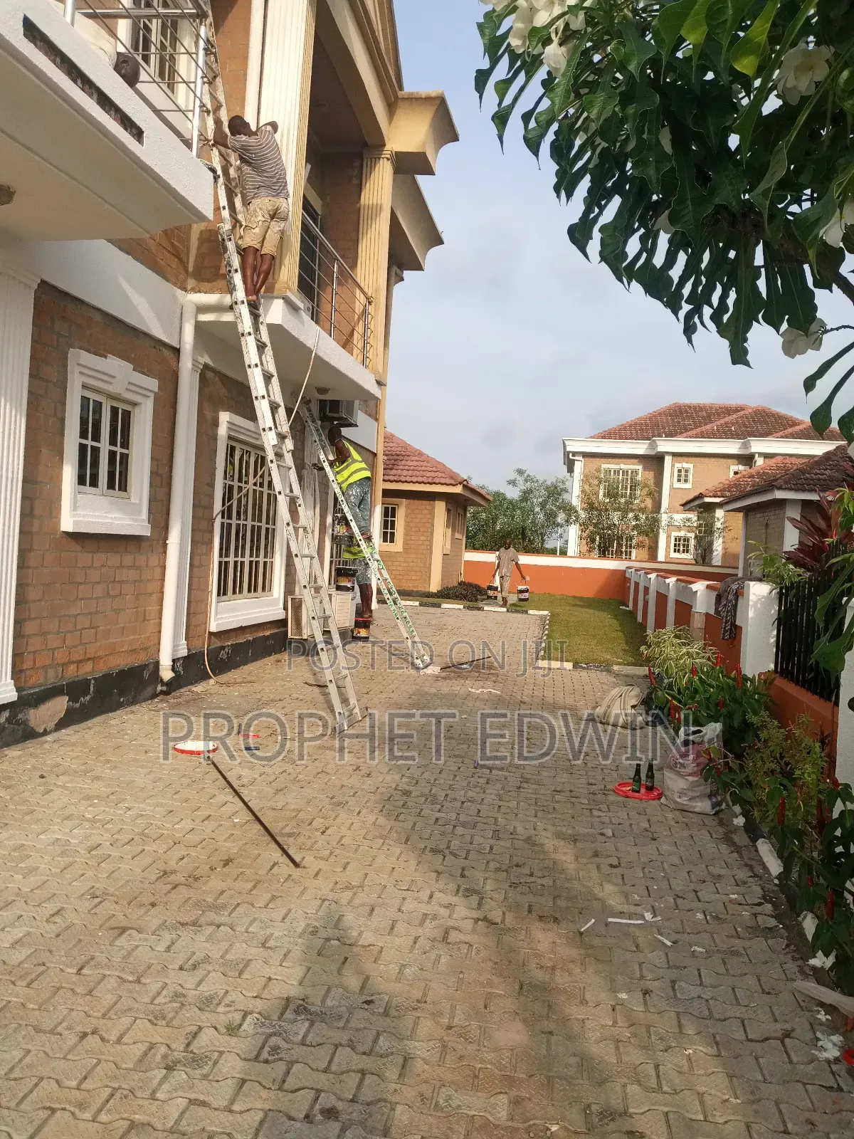 Minino Painting Service