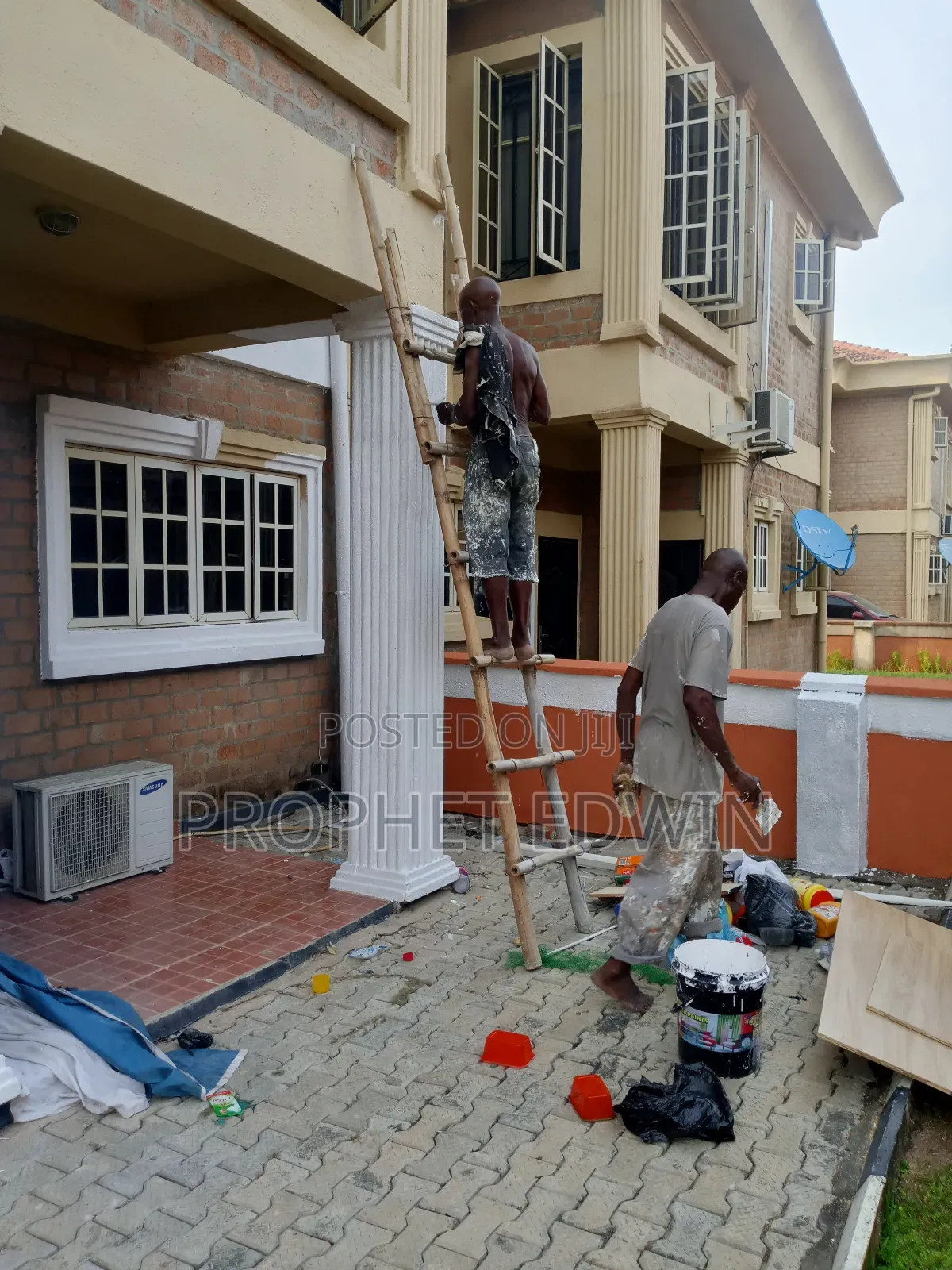 Minino Painting Service