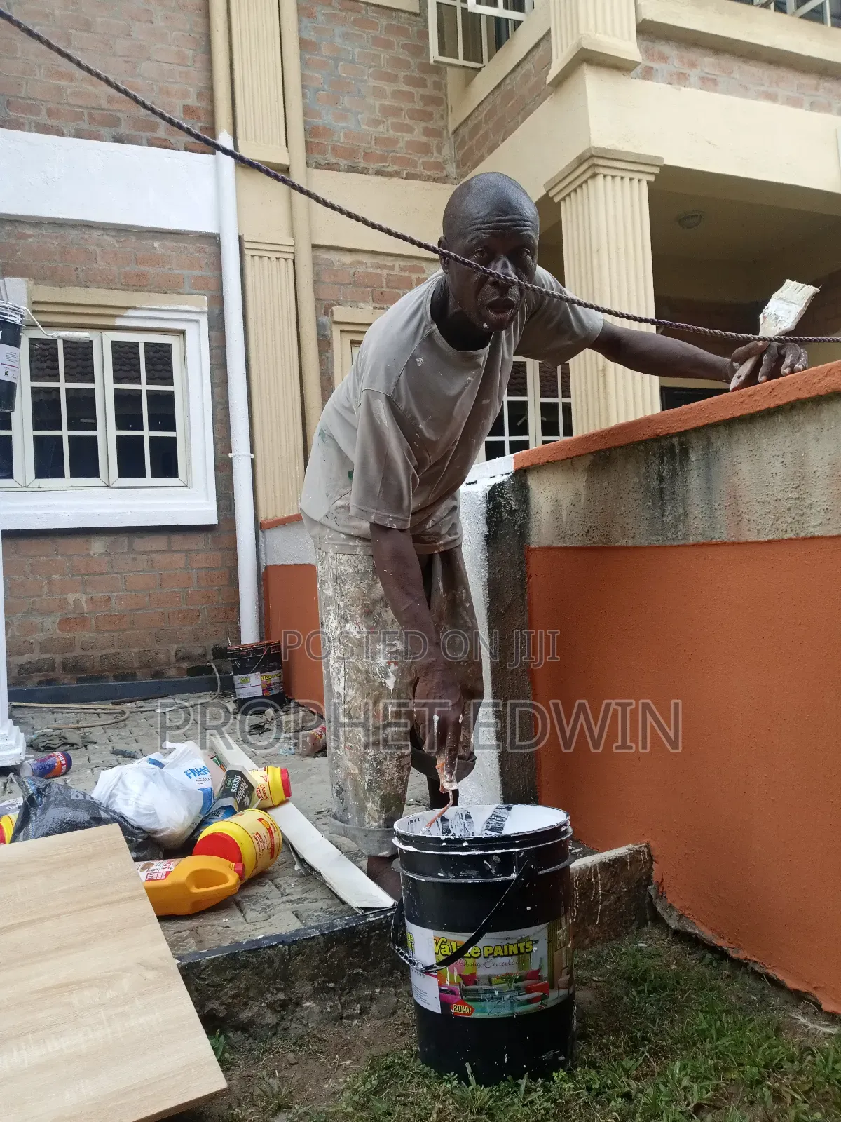 Minino Painting Service
