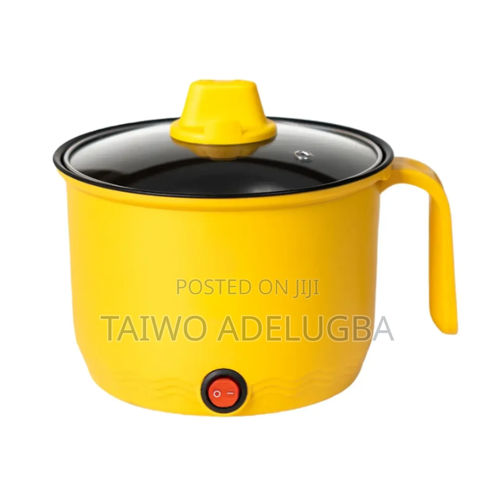 Unique Electric Cooking Pot