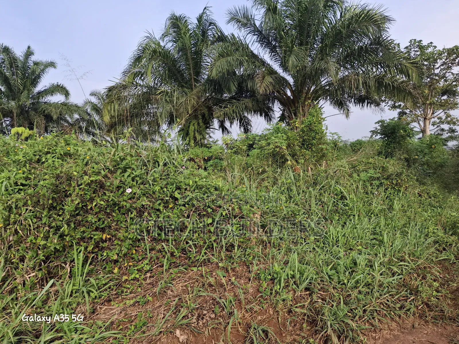 6 Plots of Land for Distress Sale