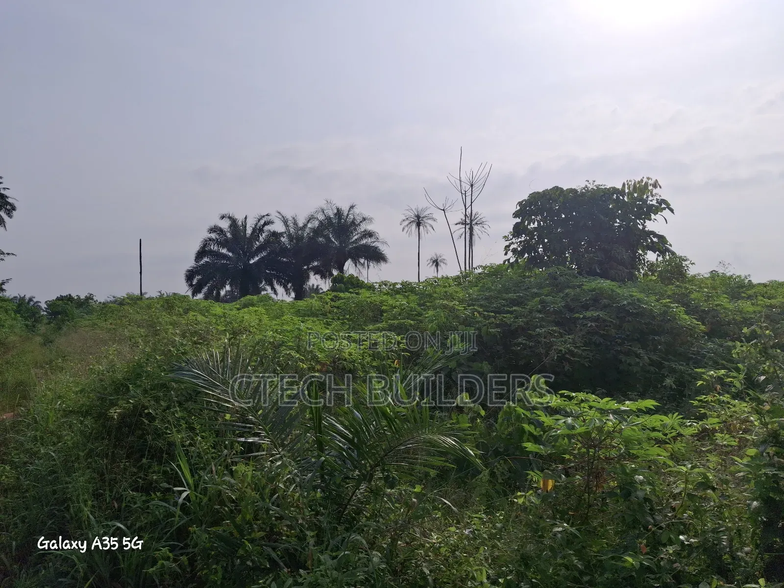 6 Plots of Land for Distress Sale
