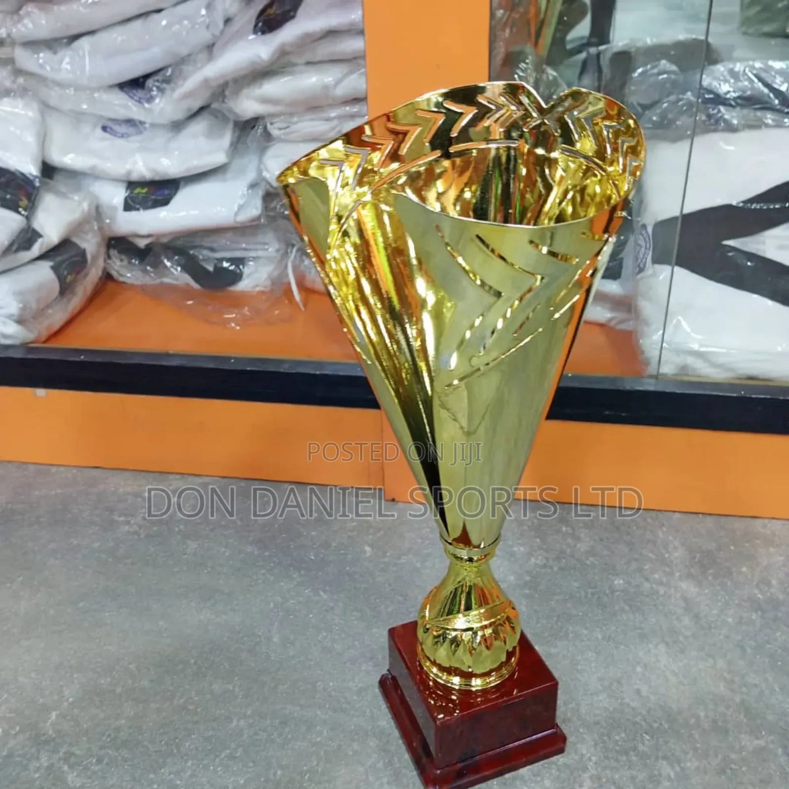 Trophy Award Cup