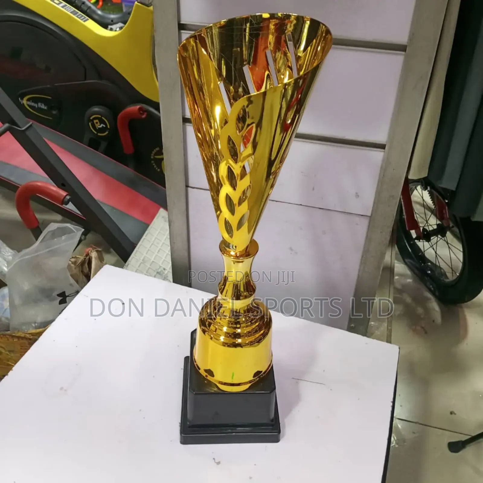 Trophy Award Cup