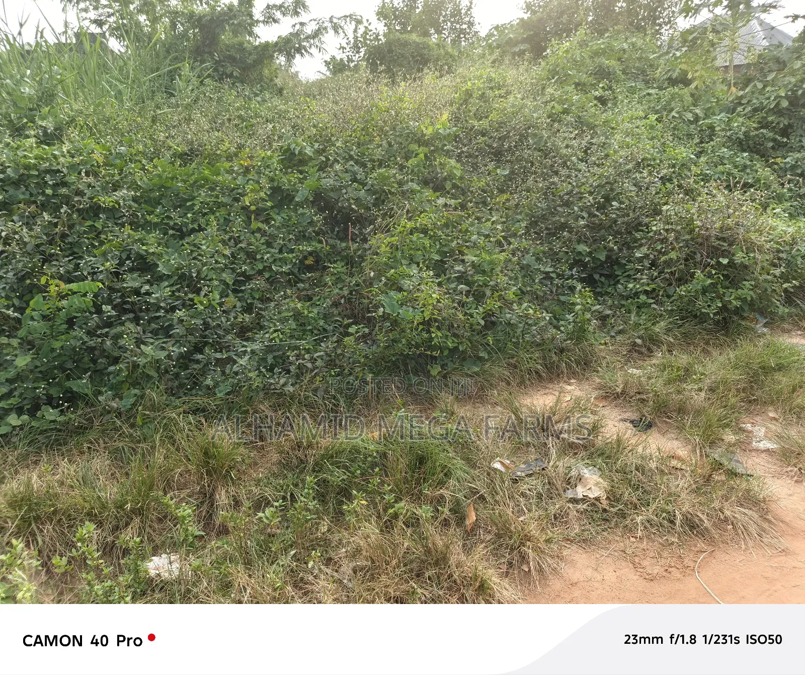 An Acre of Farmland for Sale
