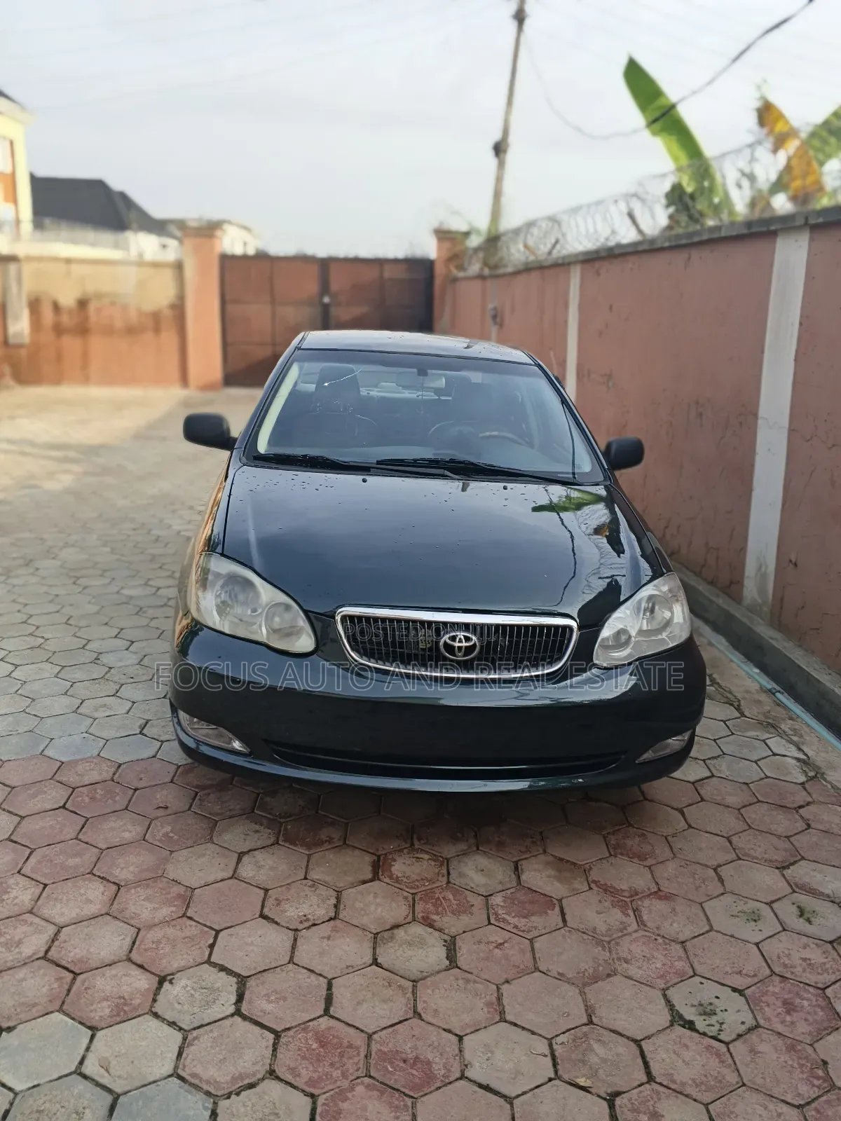 Toyota Corolla 2004 Green