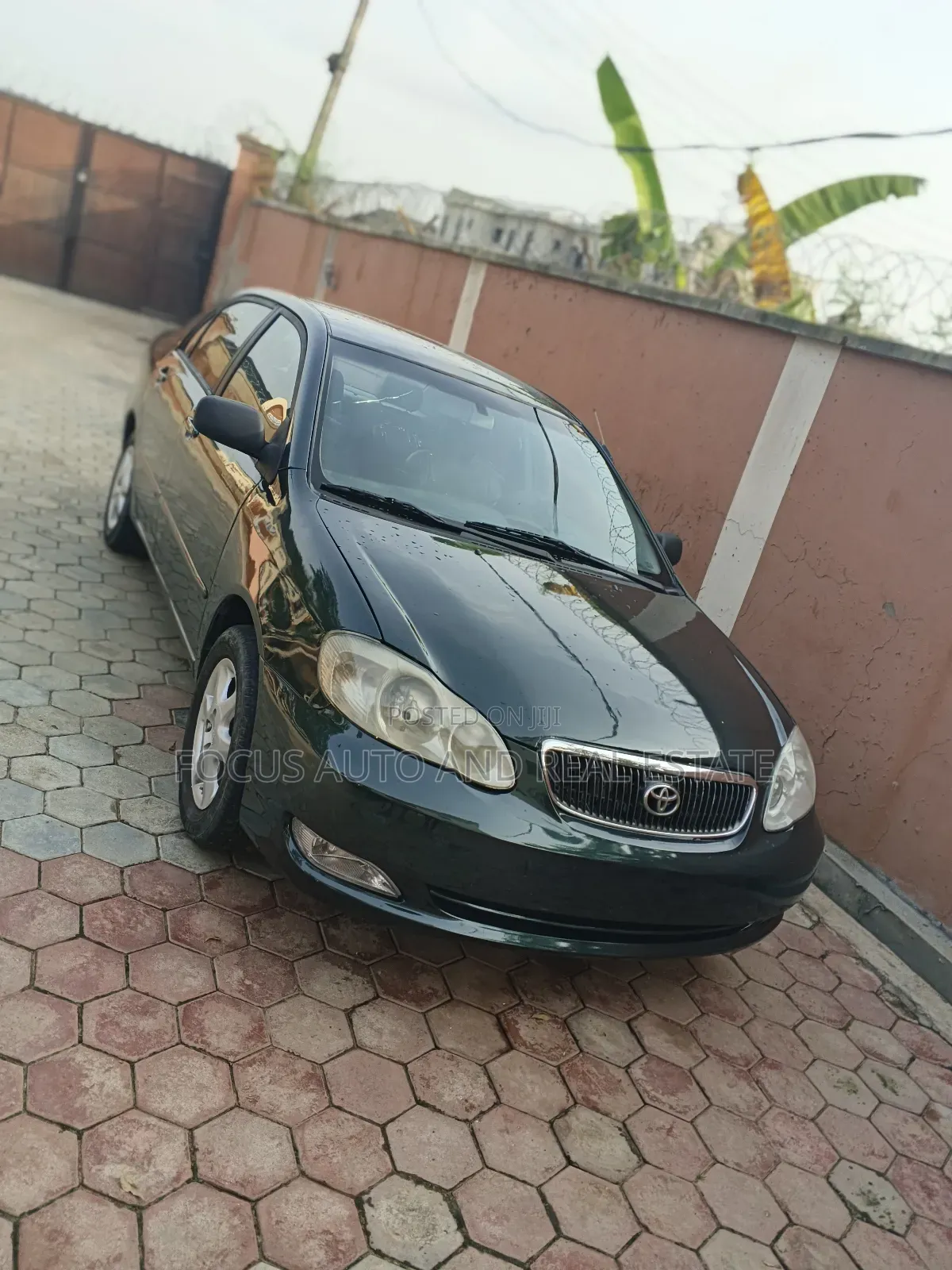 Toyota Corolla 2004 Green
